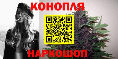 Альфа ПВП Пыть-Ях
