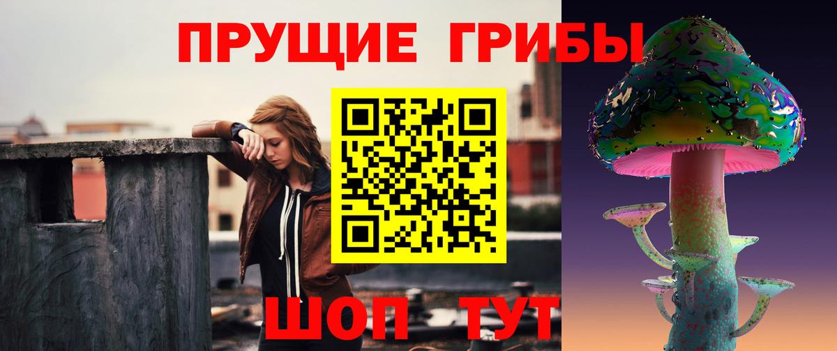 Галлюциногенные грибы Psilocybine cubensis Алексин